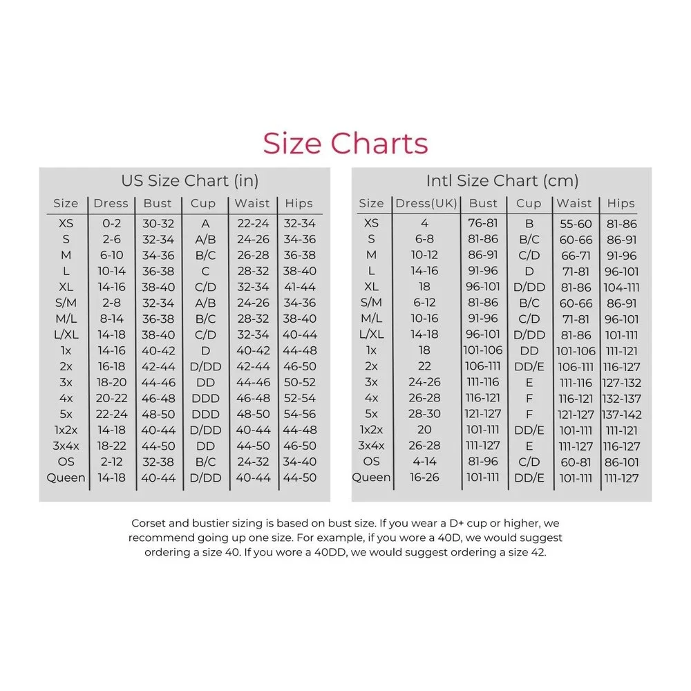 Long Sleeve Bodystocking Sheer and Opaque Women One Size OS Body Stocking